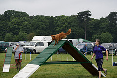 A frame side view, agility equipment