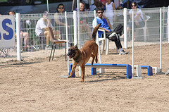 long jump