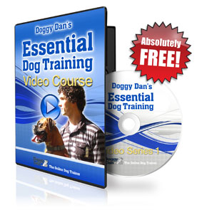 dvd offer advert dog trainer