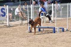 long jump